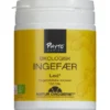 INGEFÆR KAPSLER DK-ØKO-100